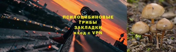 мяу мяу мука Абинск