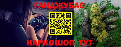 шишки Камышлов