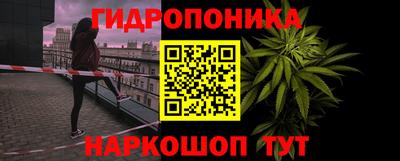 шишки Камышлов