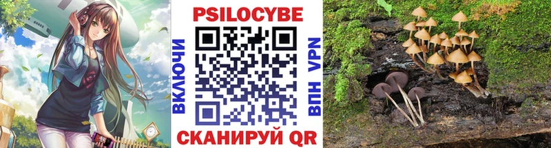 гидра ссылки  Курчатов  Псилоцибиновые грибы GOLDEN TEACHER 