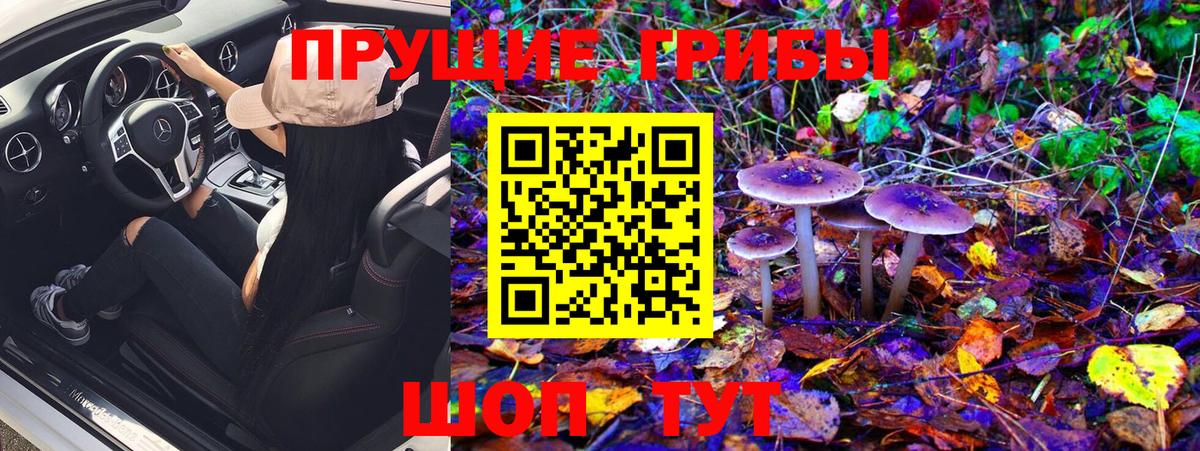 Курчатов  Галлюциногенные грибы мухоморы  Вход с VPN 
